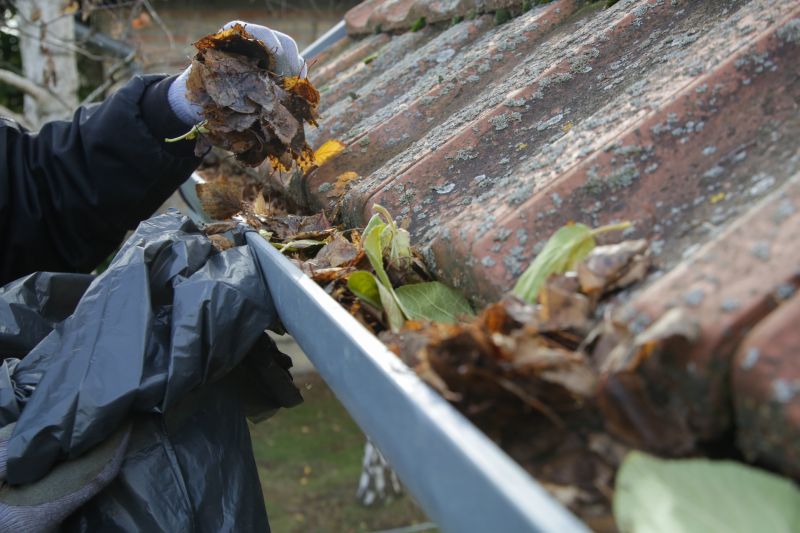 Clean Residential Gutters